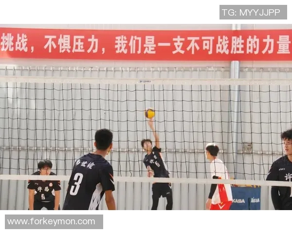 上海排球队灵活性变革引发热议探讨未来发展方向与策略调整 上海排球队灵活性变革引发热议探讨未来发展方向与策略调整